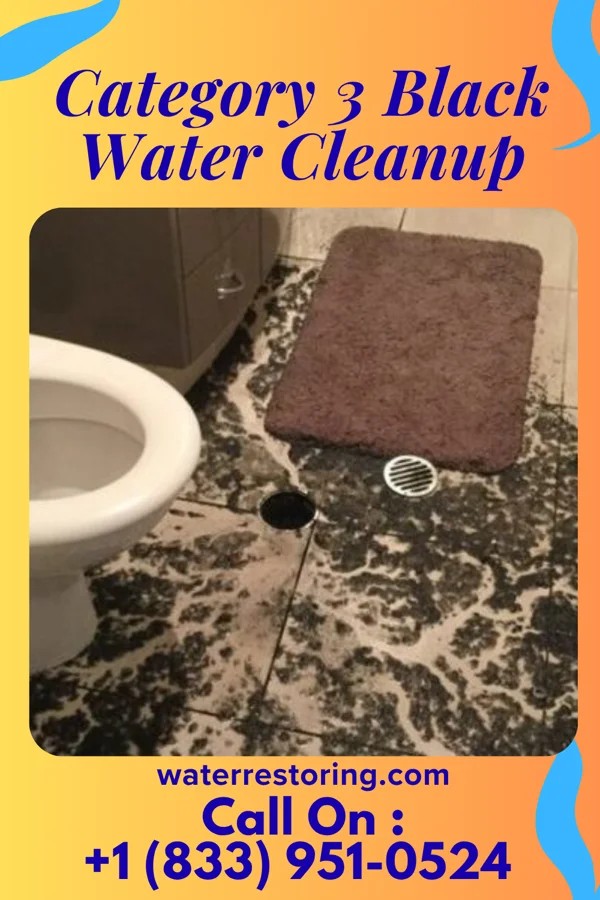 Category 3 Black Water Cleanup in Arlington, GA