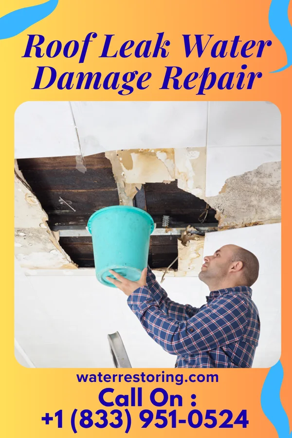 Roof Leak Water Damage Repair in Arlington, GA